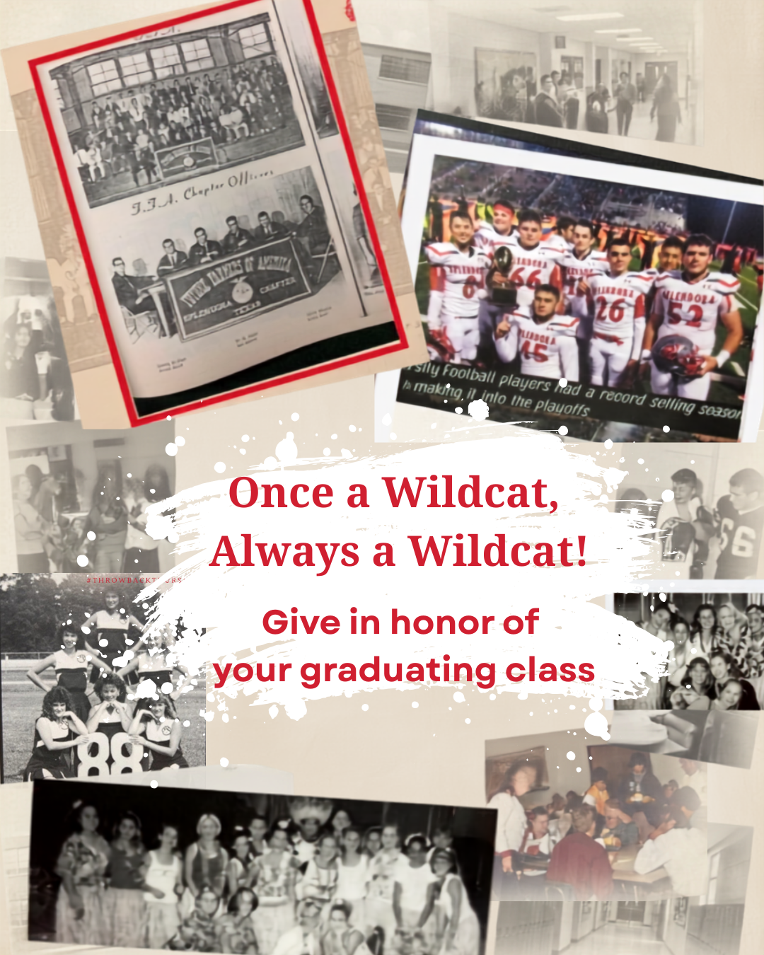 Wildcat Giving Blog Photo Wildcat Giving Blog Photo